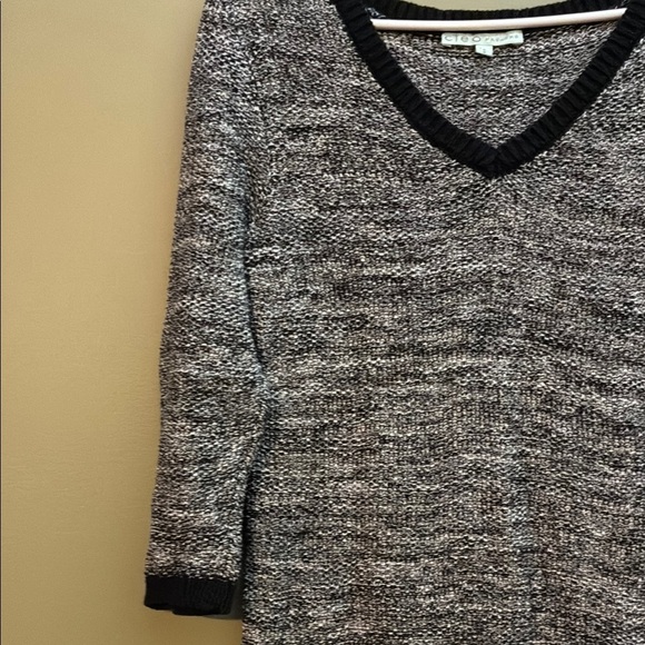 Cleo Petites Black and Gray V-Neck Sweater with Relaxed Fit - Picture 6 of 12